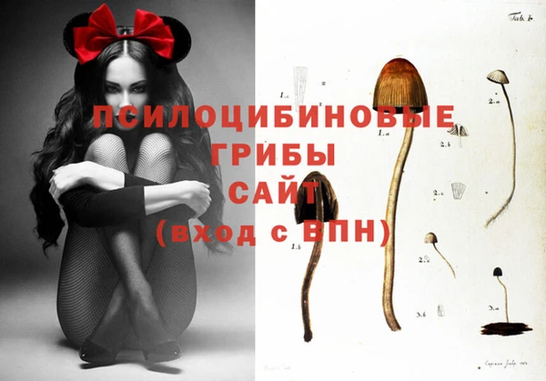 меф Арсеньев